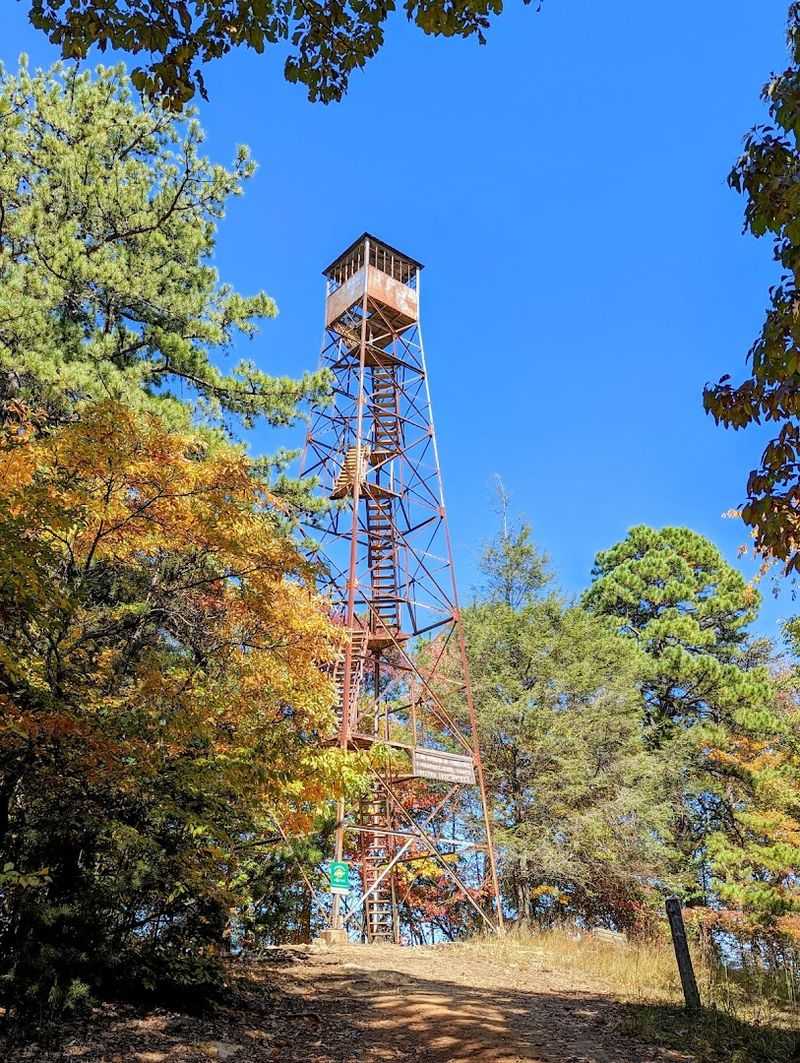 Adventures High Above The Canopy