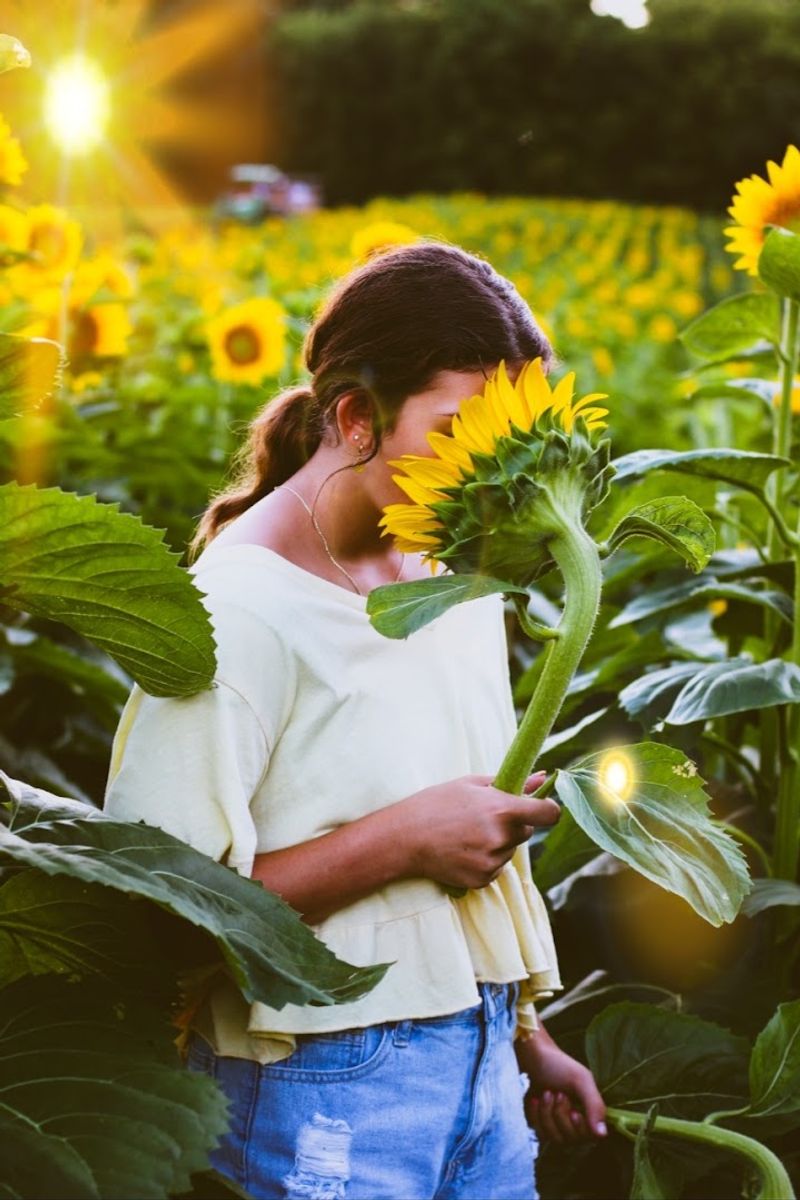 Capturing Radiance Among The Blooms
