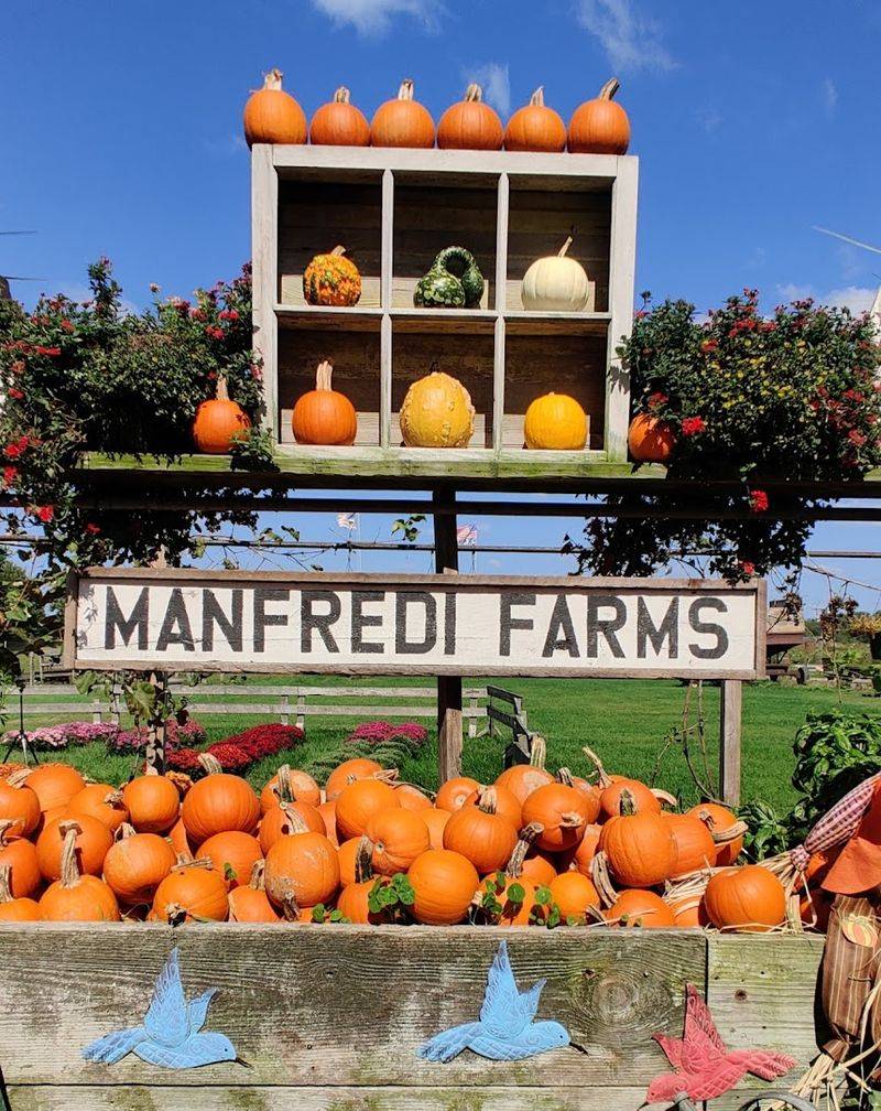 All The Fall Favorites In One Place