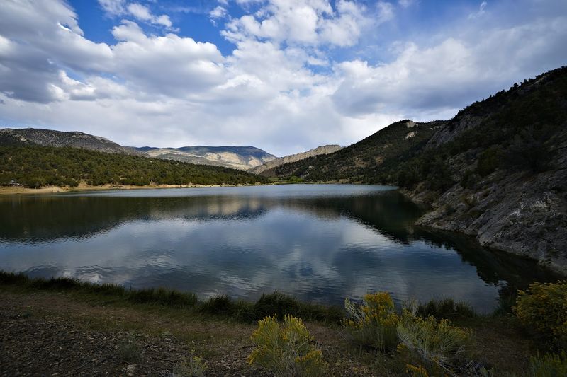 The Story Behind The Reservoir