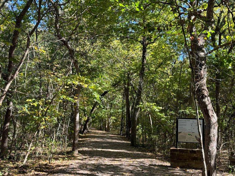 The Trail That Gets You There