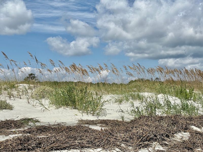The Dunes That Make This Beach Truly Unforgettable