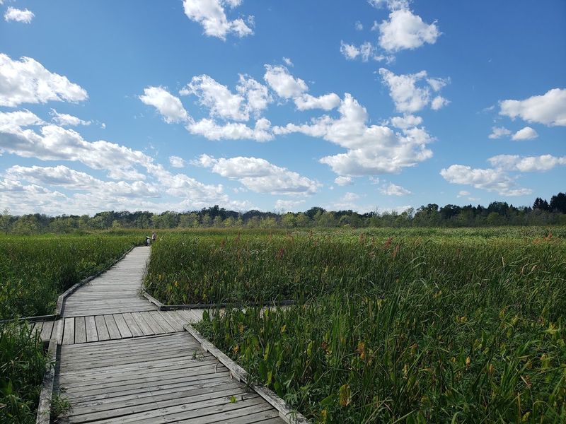 Boardwalk Trails That Connect The Whole Park Together