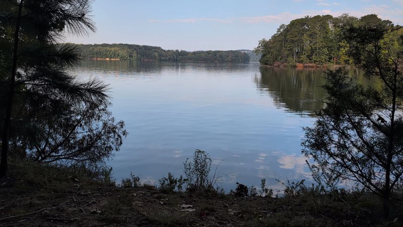 Where Forest Paths Meet Open Water