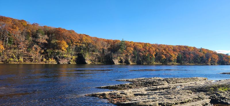The Prehistoric Story Continues Beyond The Dinosaur Tracks