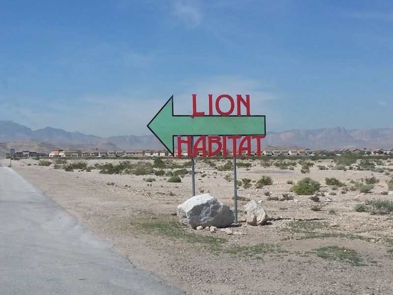 How a Lion Sanctuary Ended Up Near Las Vegas