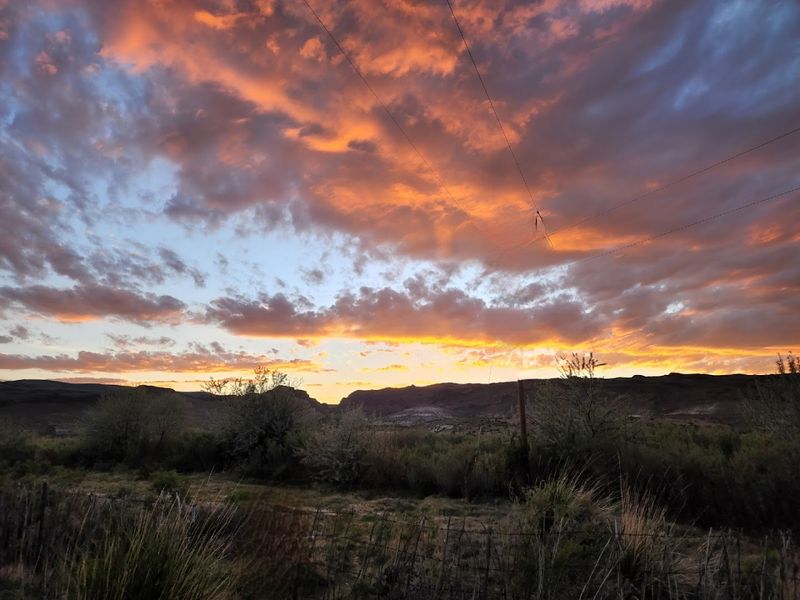 The Remote Desert Setting That Makes It All Worth It