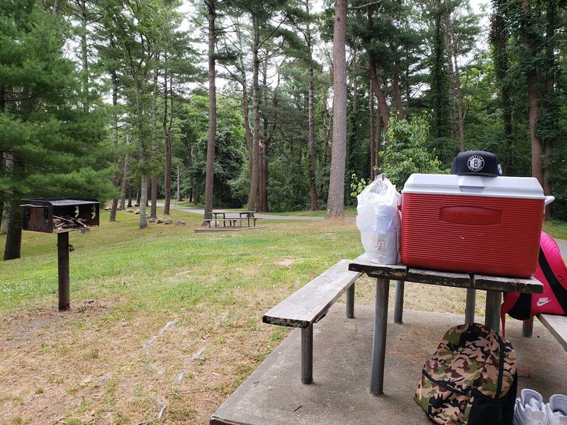 Invitation To Gather And Unwind