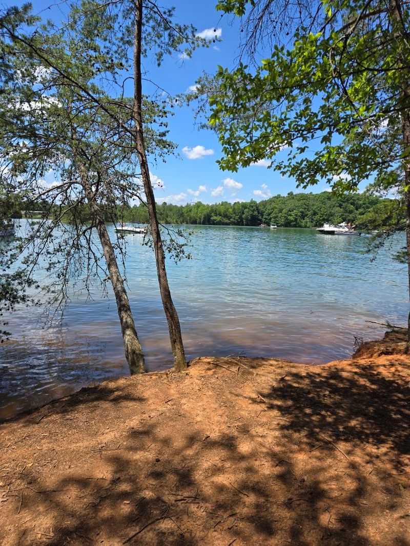 Tracing The Quiet Coves