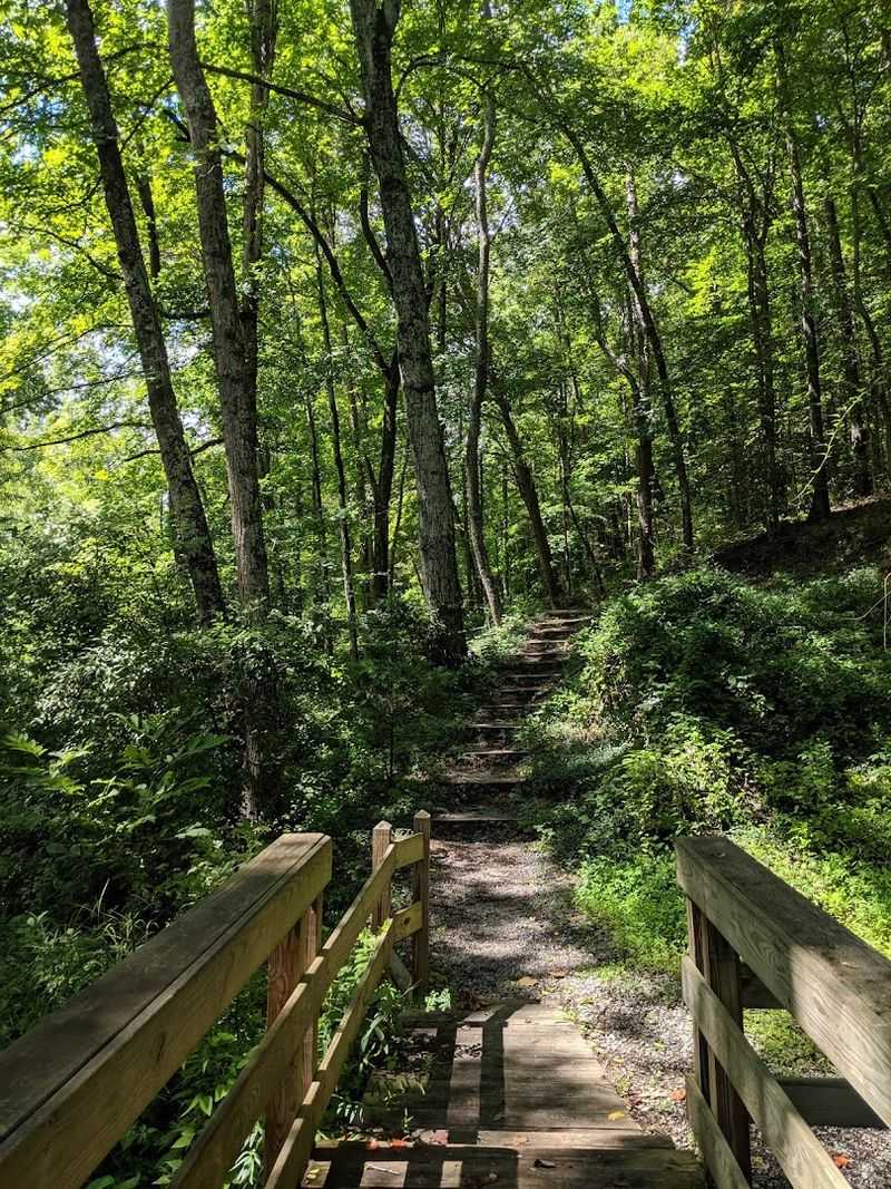 Paths That Tell Tales Of Terrain