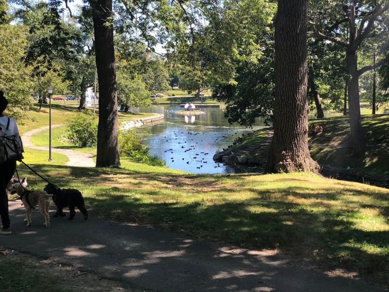 Deering Oaks Park Magic