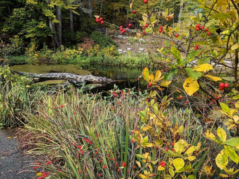 A Living Plant Museum