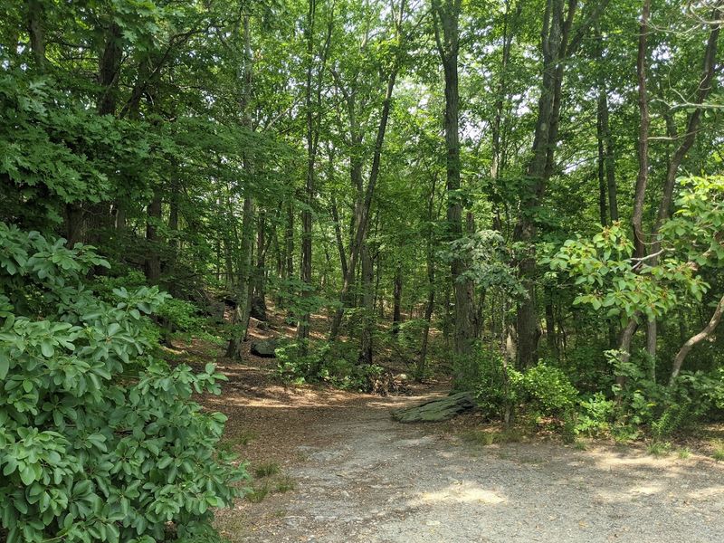 Trails For Every Pace