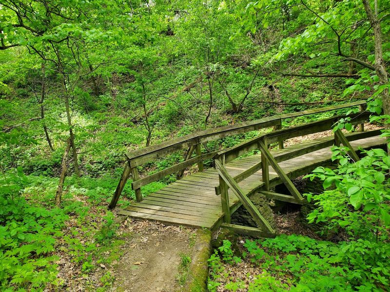 Trails That Earn Their Views