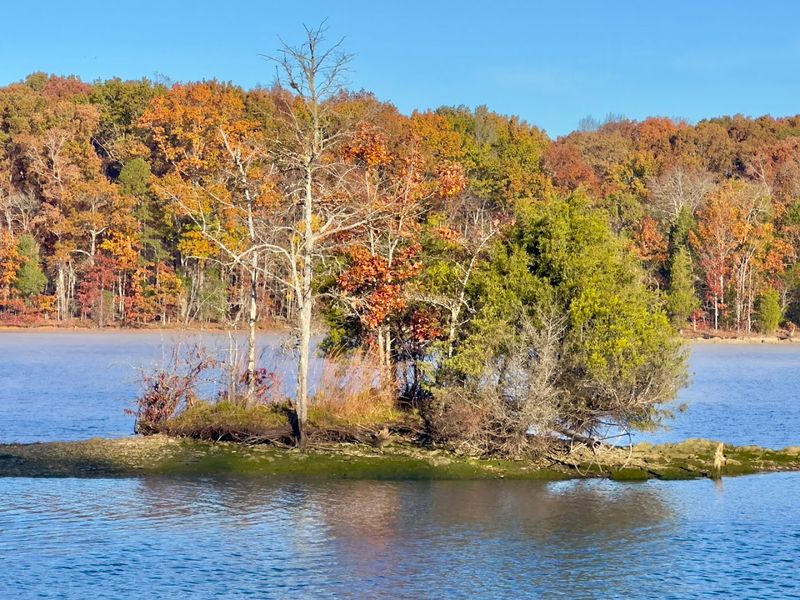 Seasonal Transformations