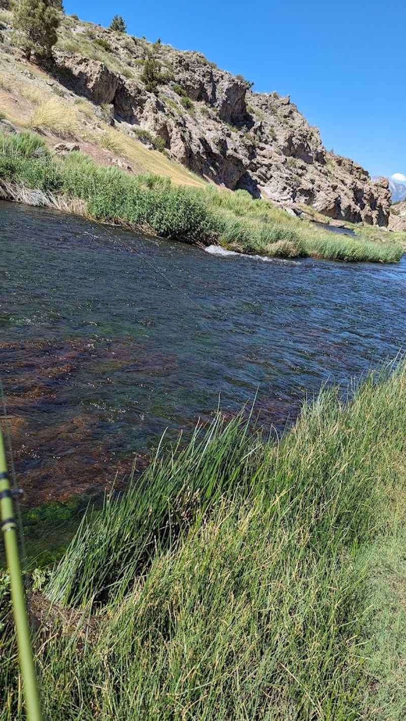 Fly Fishing Is A Major Draw In The Cooler Water Nearby