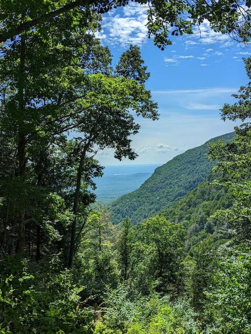 Platte Clove Preserve: The Hidden Road Worth Every Curve