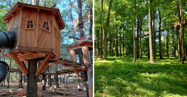 A Playground This Epic Turns Virginia Beach Town Into A Full Day Adventure