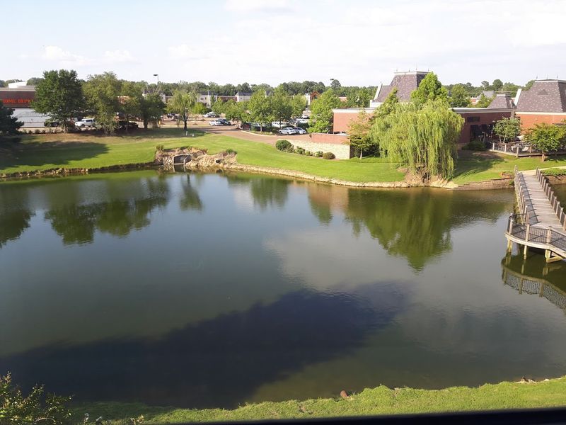 Welcome To Madison, Mississippi's Best Kept Secret