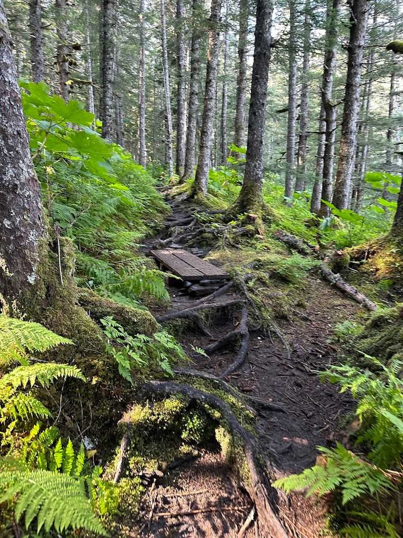 Where The Trail Begins And What To Expect