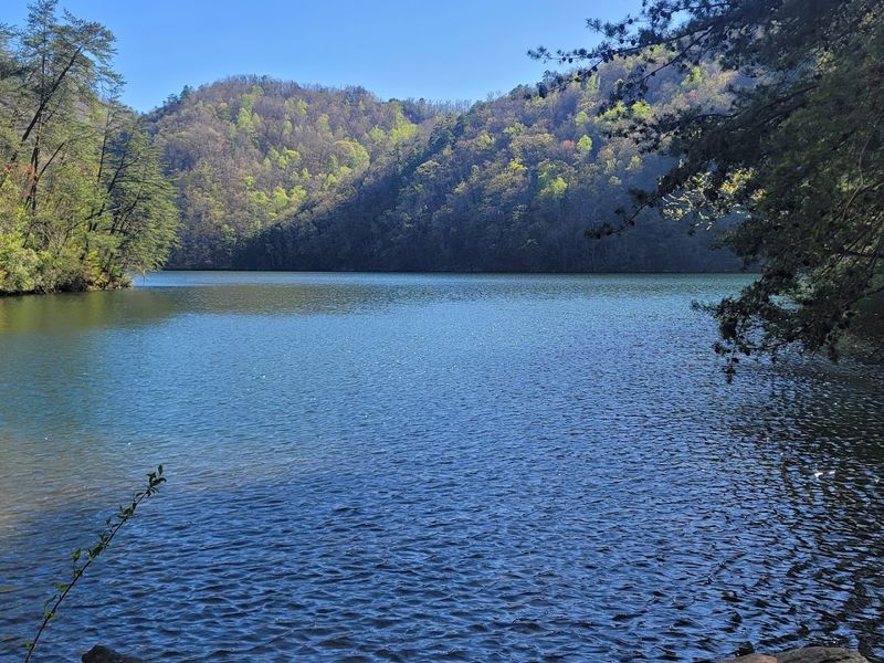 Cold Water, Clear Depths, And Serious Trout