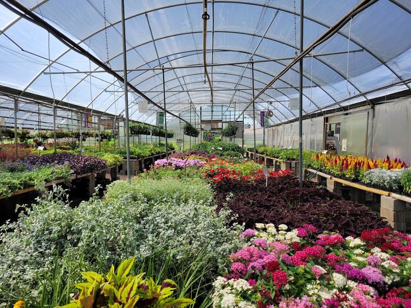 Cultivating Local Roots