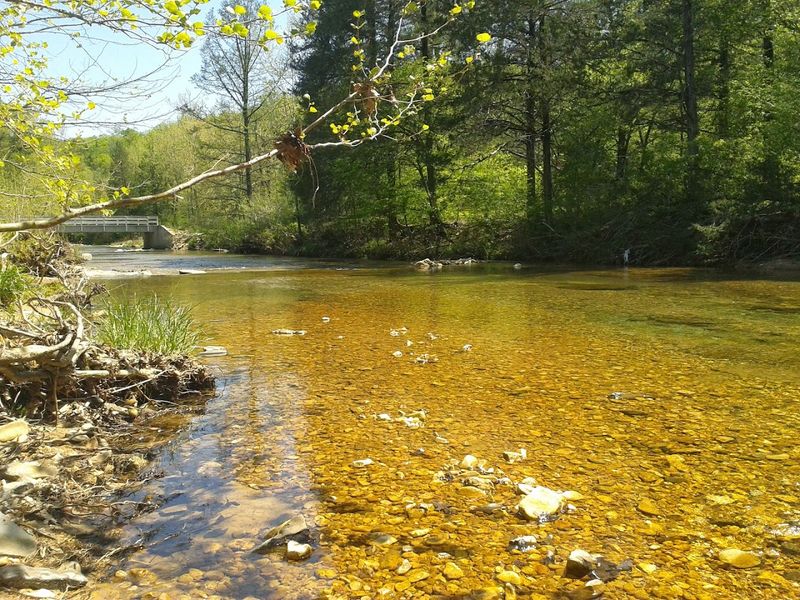Outdoor Adventures That Keep Retirees Moving
