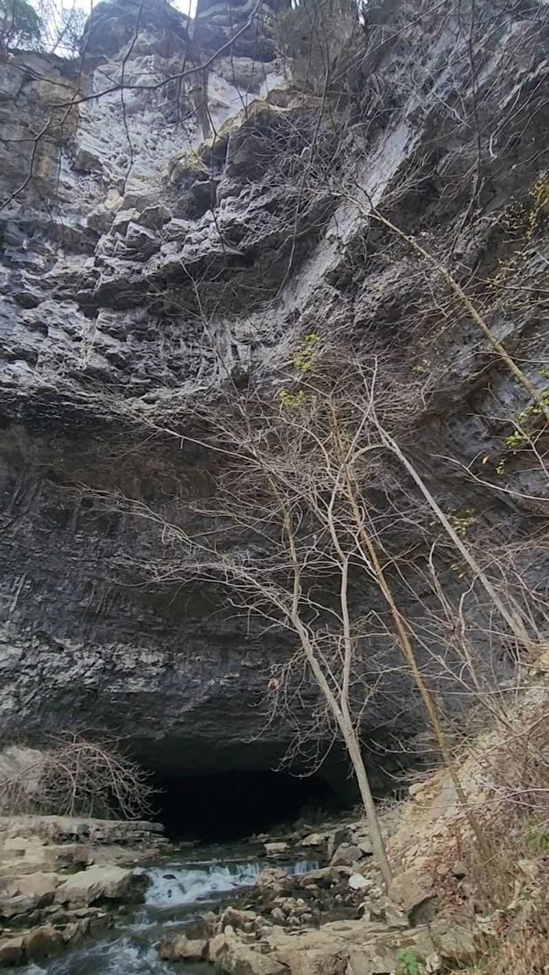 The Grandeur Of The Entrance Revealed