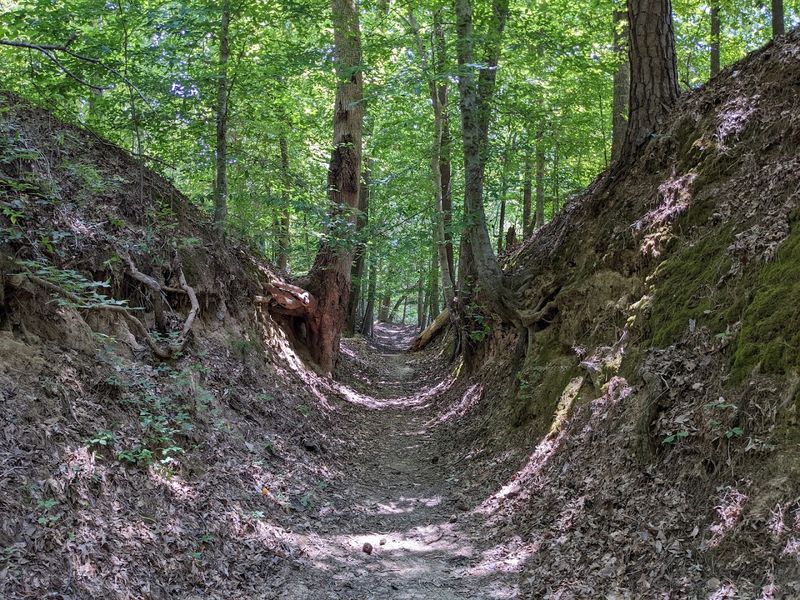Welcome To The Sunken Trace, Milepost 41.5