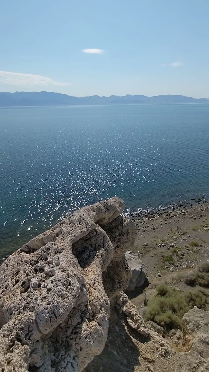 The Cutthroat Trout Story That Captured National Attention
