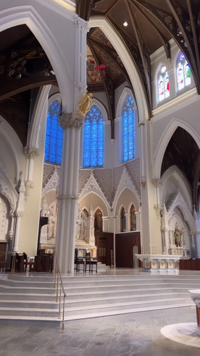 The Resounding Voice Of The Organ