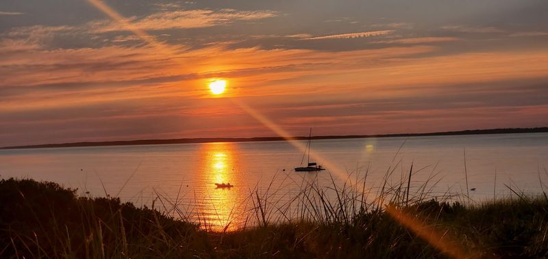 Golden Light, A Daily Spectacle