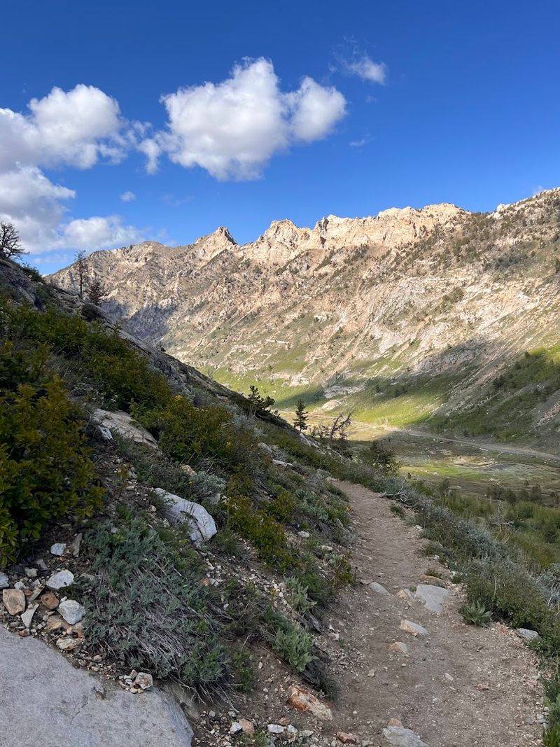 The Drive Reaches An Elevation Of About 8,800 Feet