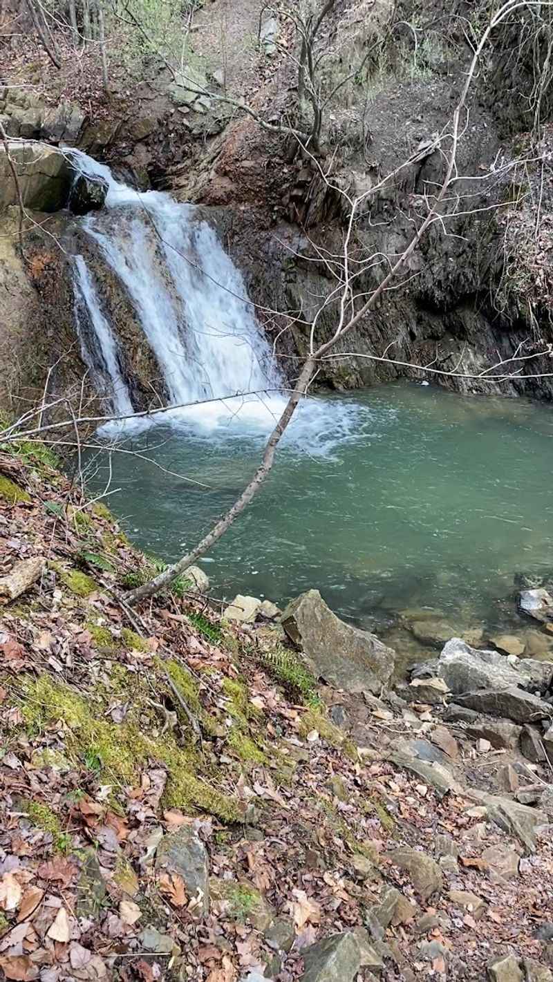 The Trail's Gentle Beginnings