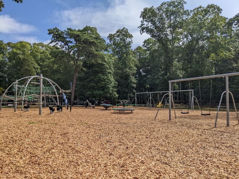 Activities Within The Green Expanse