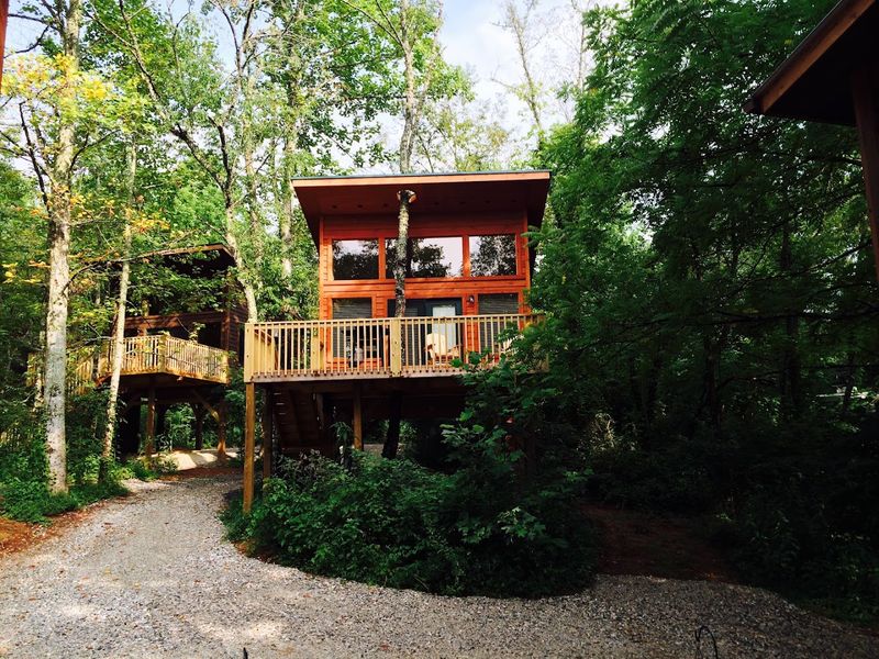 One Treehouse Makes The Elevated Experience More Accessible