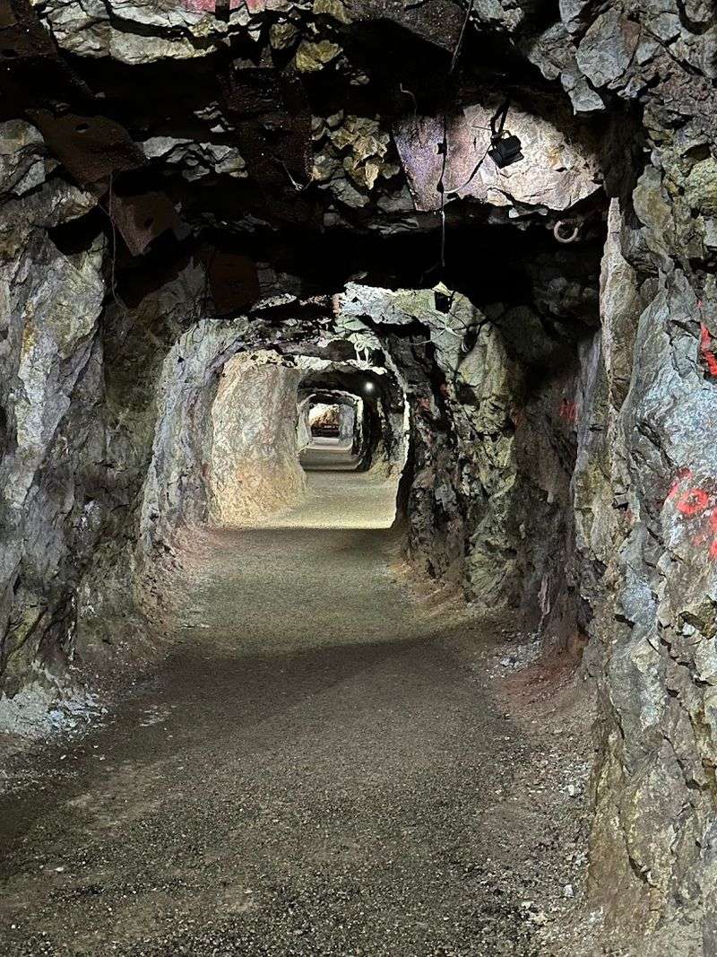 Go Underground On A Tour