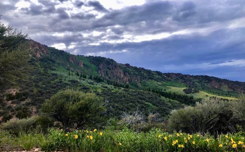 Nevada's First And Finest Wilderness Area