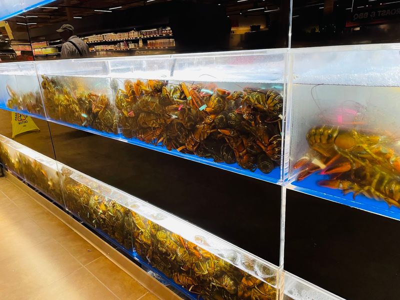 Live Seafood Worth Lining Up For