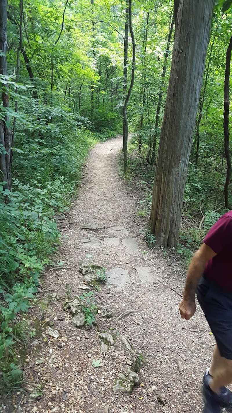 How To Find Blue Spring Without Getting Lost