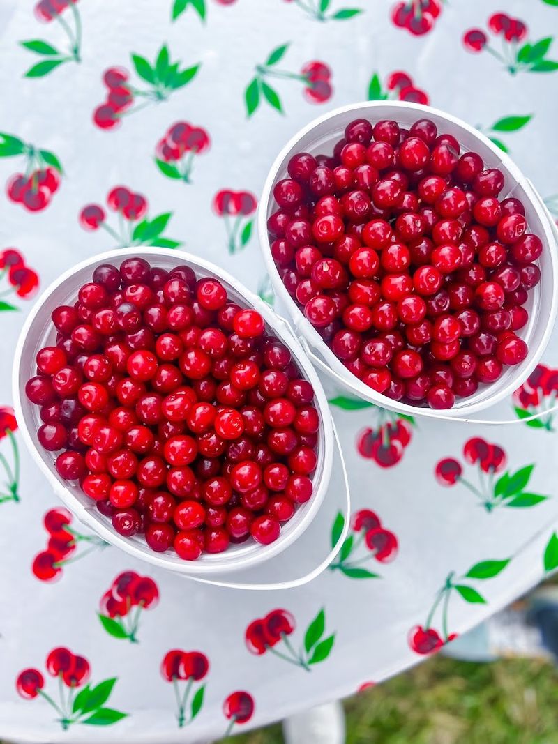 Sweet Ideas For Your Orchard Haul