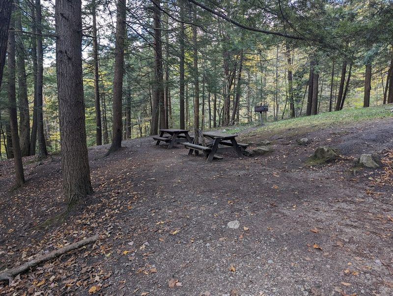 Pack A Lunch And Eat It Beside The Falls