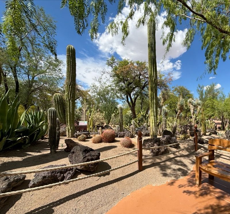 Three Acres of Living Art