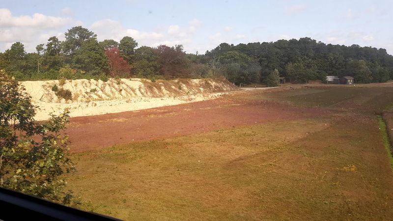 The Scenic Acclaim Of Cape Cod's Rail Adventure