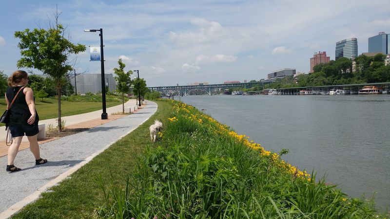 Where Literature Meets Landscape