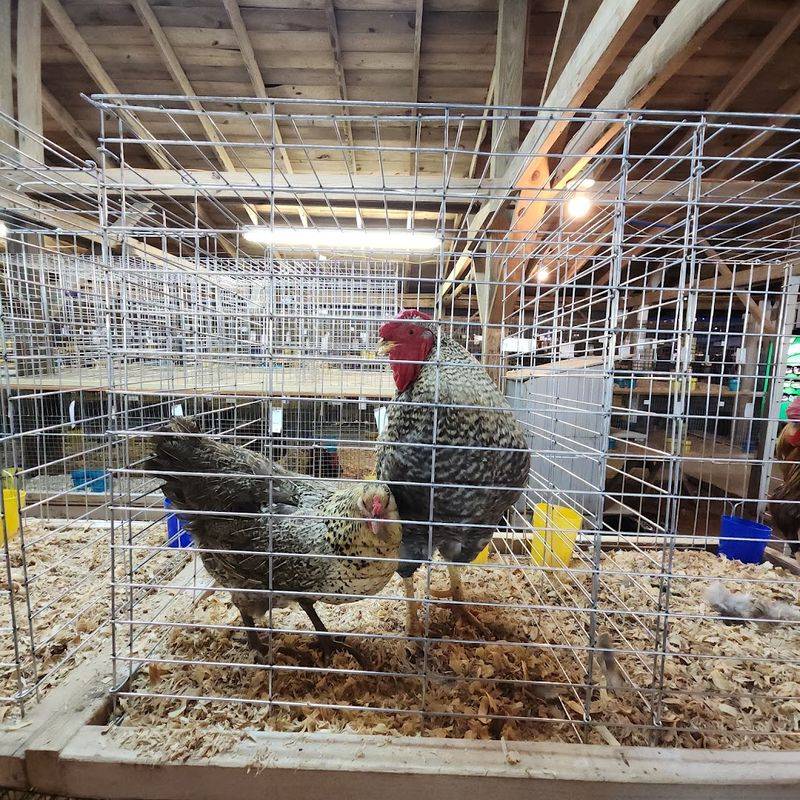 A Celebration Of Local Agriculture