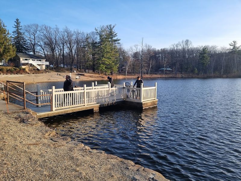 The Pond's Gentle Allure