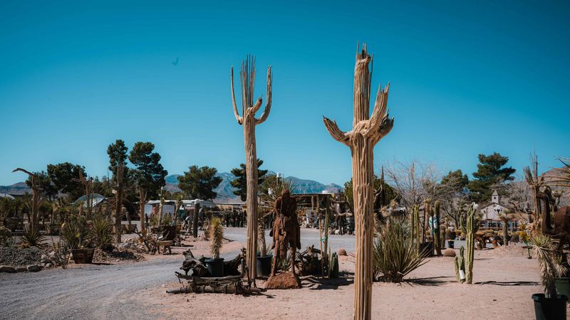 The Vibe That Set This Desert Nursery Apart From Every Other Nursery