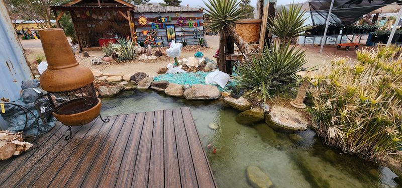 The Koi Pond That Turned A Plant Run Into An Experience