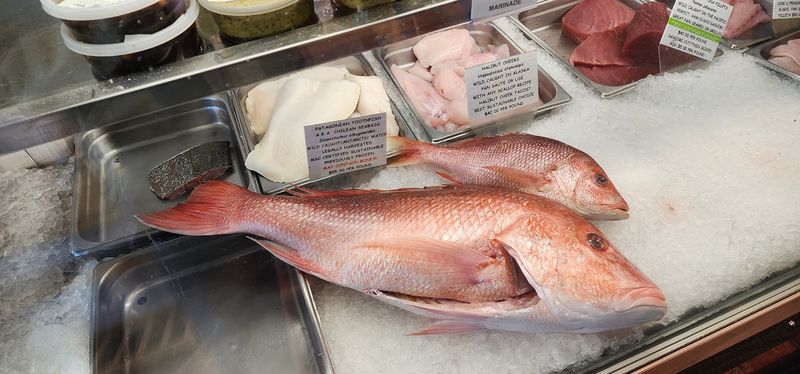 Freshness You Can Actually See And Taste